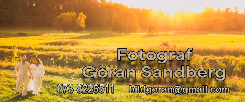            G&ouml;ran Sandberg