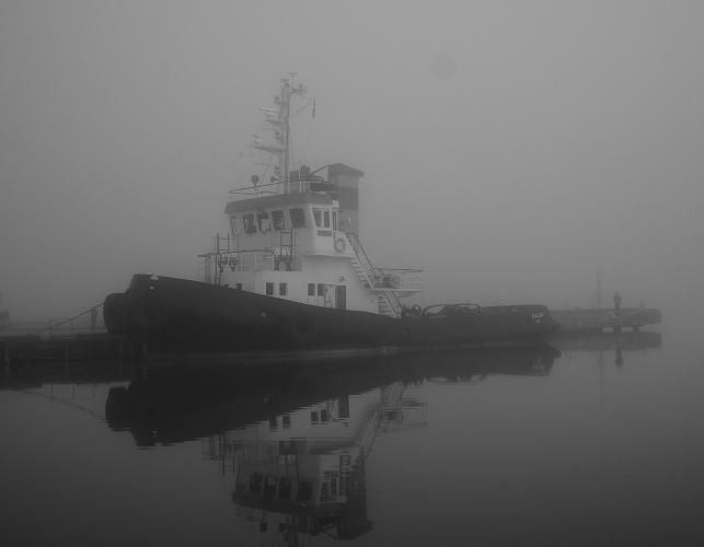 Svartvita bilder i dimma