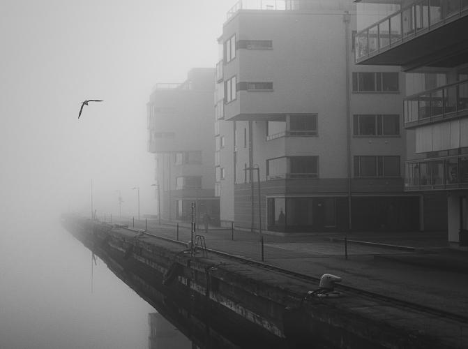 Svartvita bilder i dimma