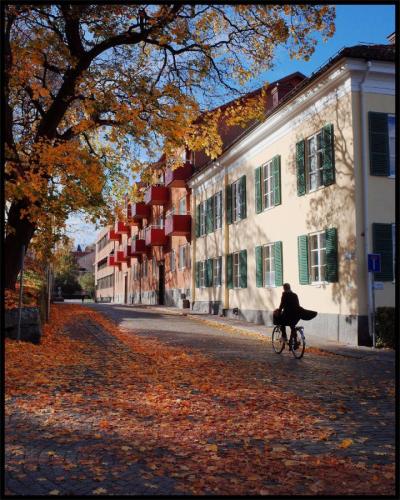 Höst i Västerås med cyklande man.