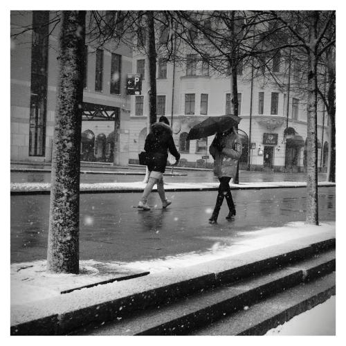 snoidag