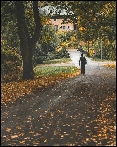 Höst i Västerås vid Svartån