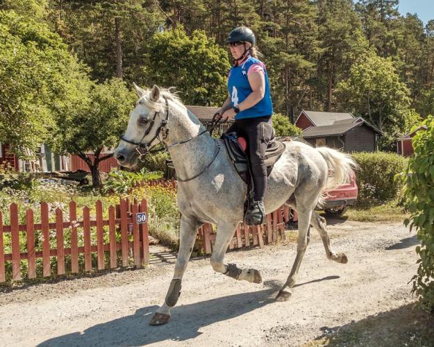 SM veckan i Västerås