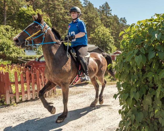SM veckan i Västerås
