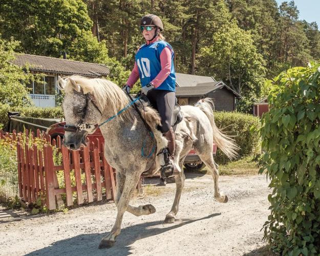 SM veckan i Västerås