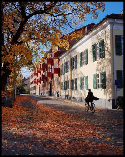 Cyklist bland höstlöven i Västerås